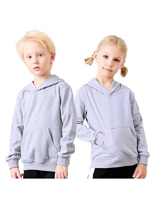 ALALIMINI Toddler Hoodies Boys Hoody Kids Cotton Hooded Pullover Sweatshirts