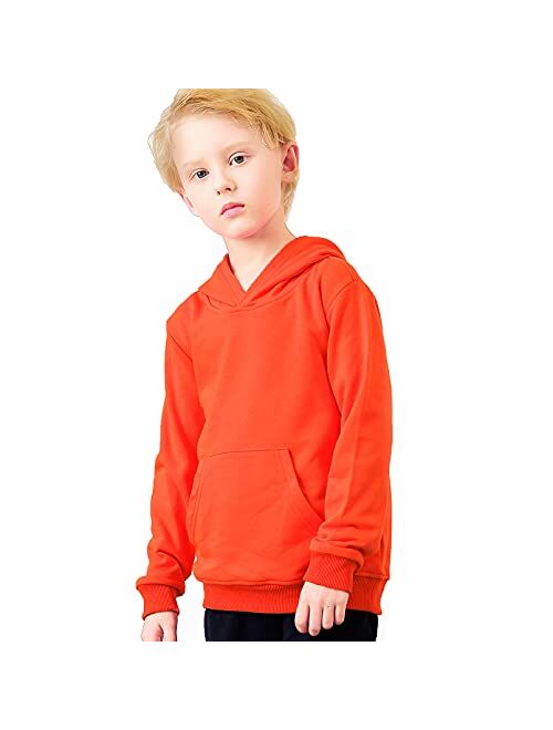 ALALIMINI Toddler Hoodies Boys Hoody Kids Cotton Hooded Pullover Sweatshirts