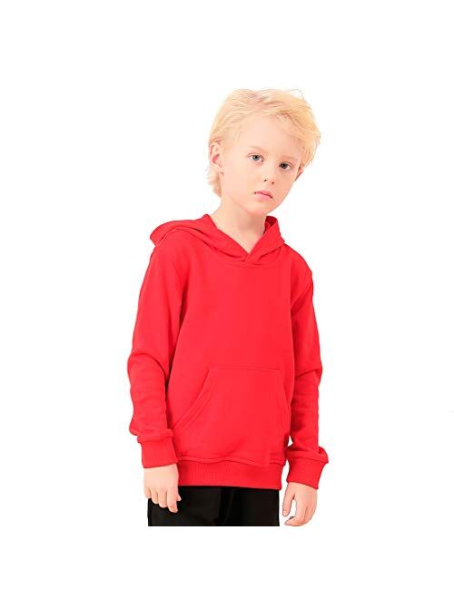 ALALIMINI Toddler Hoodies Boys Hoody Kids Cotton Hooded Pullover Sweatshirts