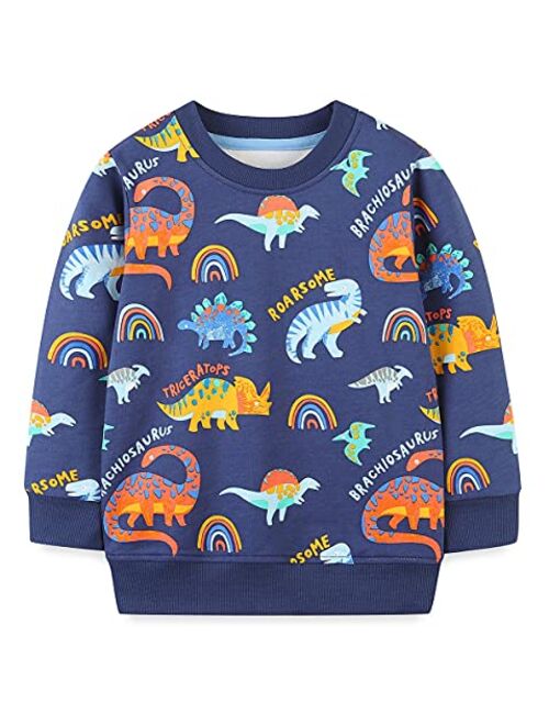 BTGIXSF Little Boys Cotton Crewneck Cartoon Long Sleeve Pullover Sweatshirts Tops