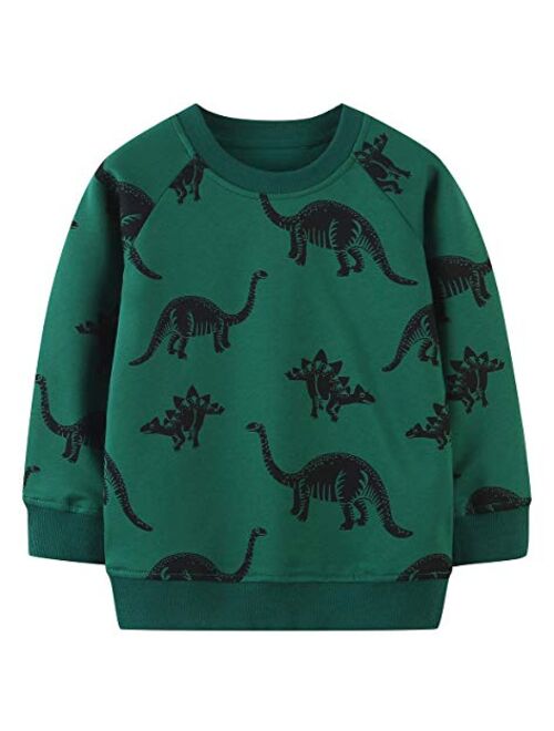 BTGIXSF Little Boys Cotton Crewneck Cartoon Long Sleeve Pullover Sweatshirts Tops