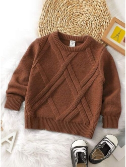 Toddler Boys Solid Textured Knit Sweater