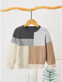 Toddler Boys Colorblock Round Neck Sweater