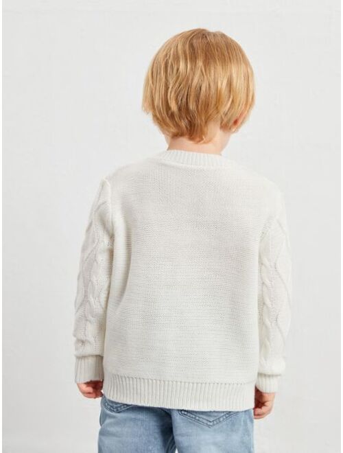 SHEIN Toddler Boys Cable Diamond Knit Sweater