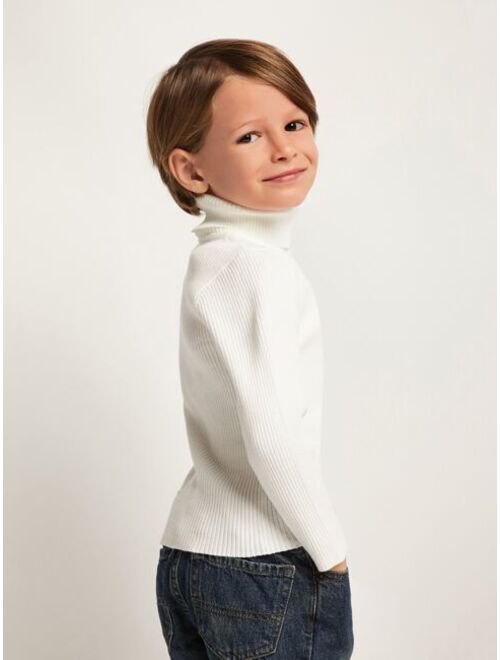 SHEIN Toddler Boys Turtle Neck Ribbed Knit Sweater