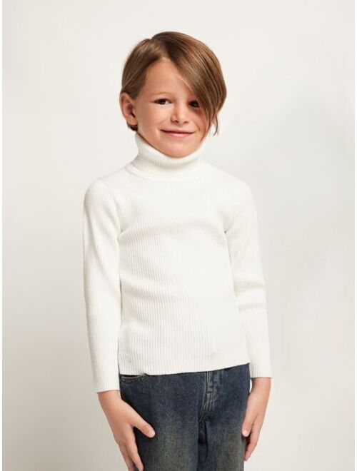 SHEIN Toddler Boys Turtle Neck Ribbed Knit Sweater