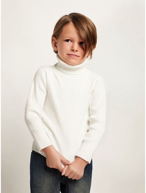 SHEIN Toddler Boys Turtle Neck Ribbed Knit Sweater