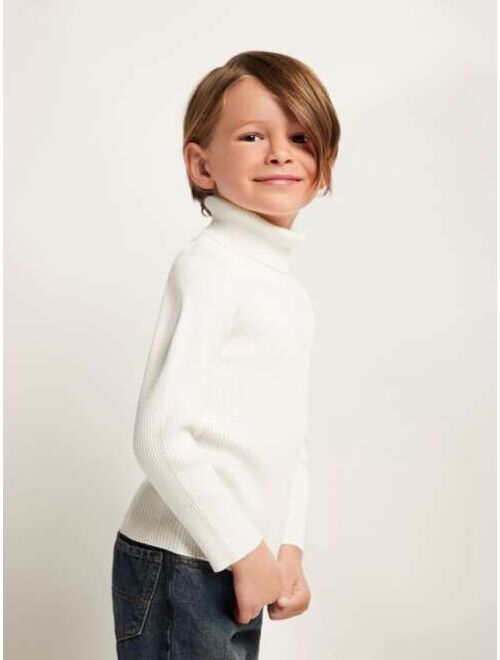 SHEIN Toddler Boys Turtle Neck Ribbed Knit Sweater