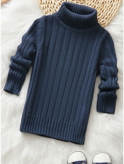 Boys Solid Turtleneck Sweater