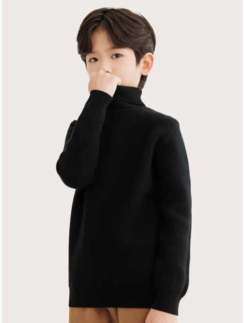 Shein Boys 1pc Solid Turtleneck Sweater