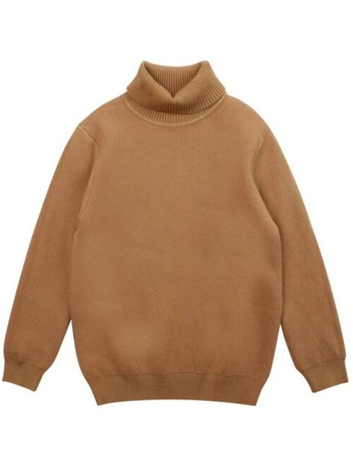 Shein Boys 1pc Solid Turtleneck Sweater