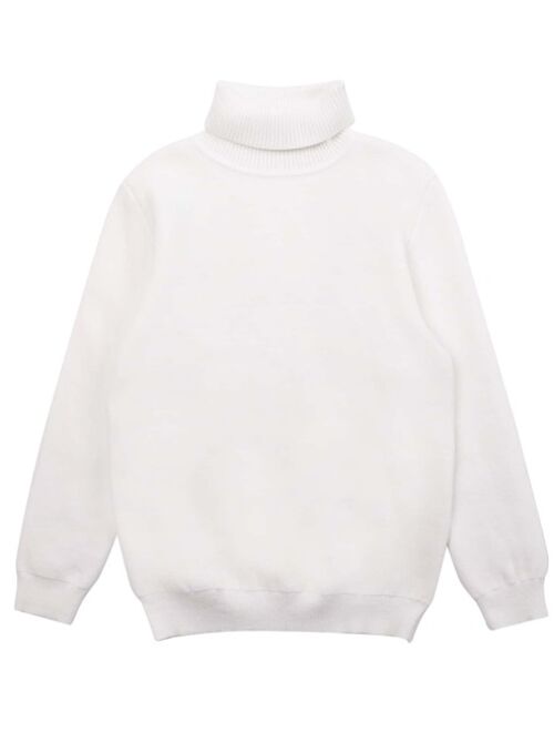 Shein Boys 1pc Solid Turtleneck Sweater