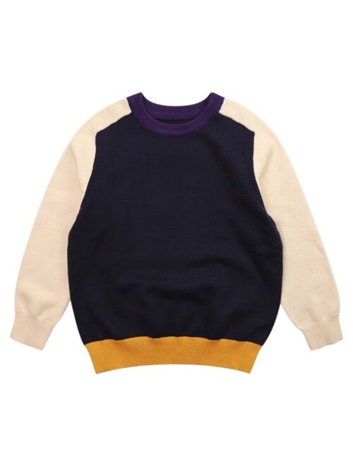 Shein Boys 1pc Cut And Sew Sweater