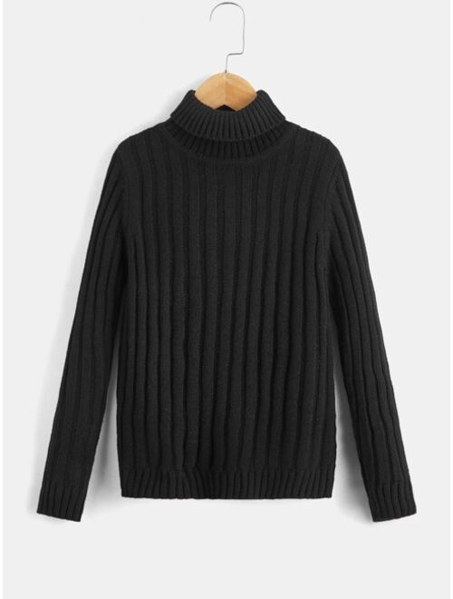 Shein Boys Turtleneck Ribbed Knit Sweater