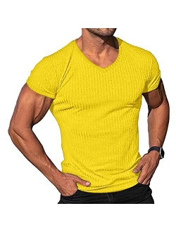 Lexiart Men's Fashion Athletic T Shirt Workout Muscle Shirts V-Neck Solid Color Tee Shirt Top