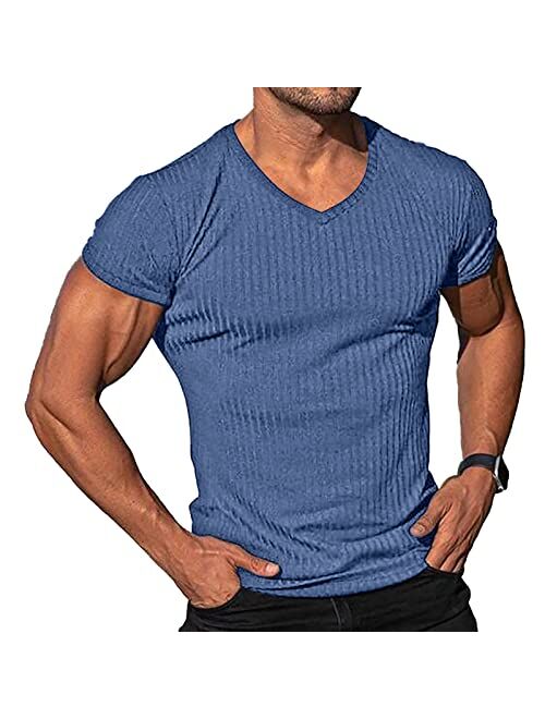 Lexiart Men's Fashion Athletic T Shirt Workout Muscle Shirts V-Neck Solid Color Tee Shirt Top