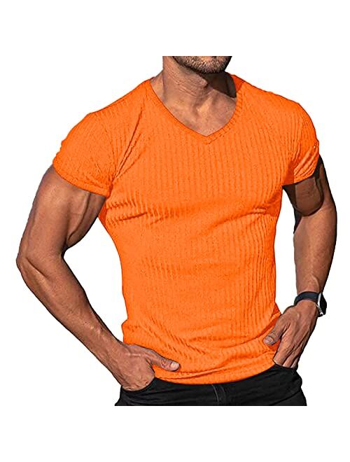 Lexiart Men's Fashion Athletic T Shirt Workout Muscle Shirts V-Neck Solid Color Tee Shirt Top