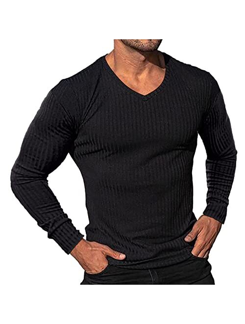 Lexiart Men's Fashion Athletic T Shirt Workout Muscle Shirts V-Neck Solid Color Tee Shirt Top