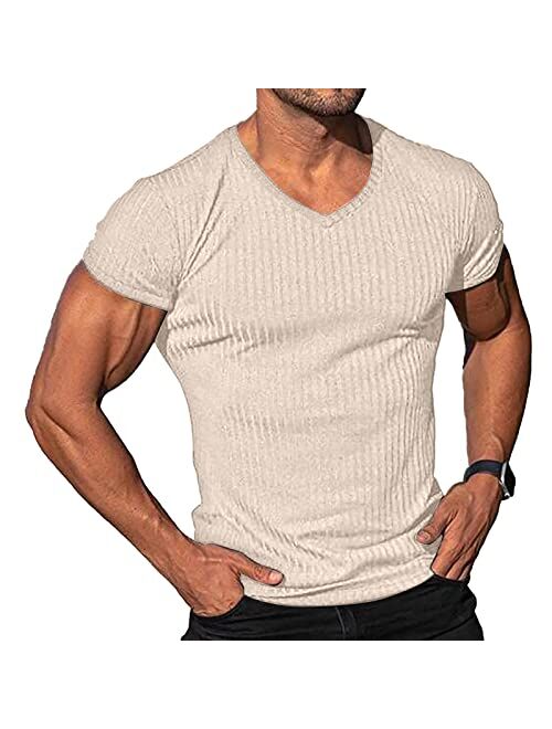 Lexiart Men's Fashion Athletic T Shirt Workout Muscle Shirts V-Neck Solid Color Tee Shirt Top