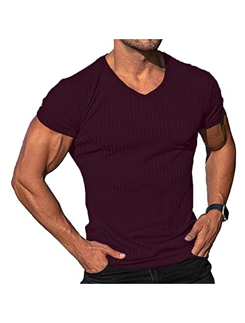 Lexiart Men's Fashion Athletic T Shirt Workout Muscle Shirts V-Neck Solid Color Tee Shirt Top