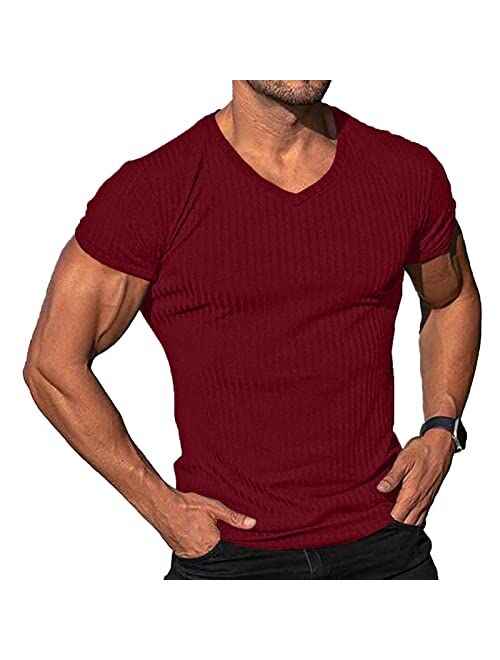 Lexiart Men's Fashion Athletic T Shirt Workout Muscle Shirts V-Neck Solid Color Tee Shirt Top