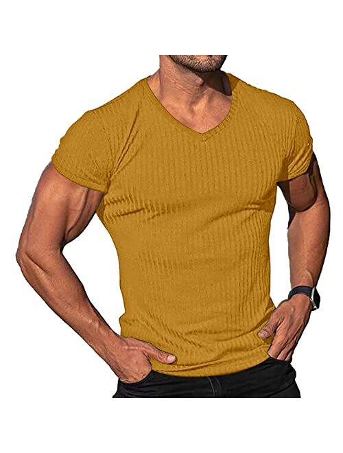 Lexiart Men's Fashion Athletic T Shirt Workout Muscle Shirts V-Neck Solid Color Tee Shirt Top