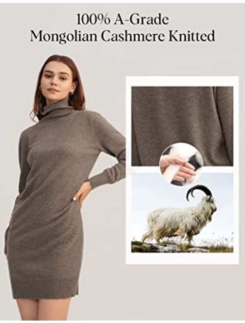 LilySilk Womens Cashmere Knit Dress Ladies Long Pullover Sweatshirt Causal Sweater Dress with Turtleneck