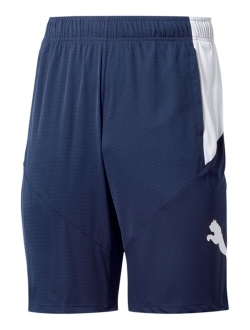 Big & Tall Men's 10" Training Cat Shorts