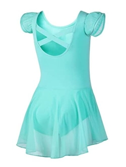 DIPUG Ballet Leotards for Girls Ballet Leotard with Skirt Toddler Dance Leotards Flutter Sleeve and Criss-Cross Back