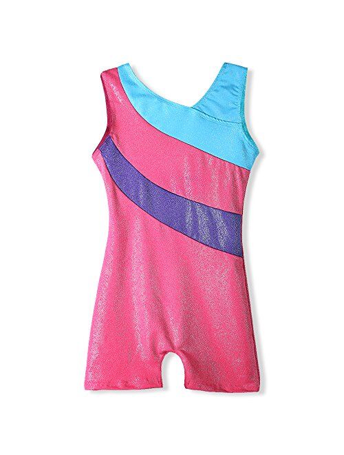 HOZIY Leotards for Girls Gymnastics Kids Children Biketard Snowflake Ribbon Blue Purple Hot Pink Sparkle