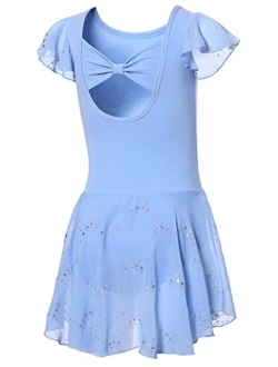 DIPUG Girls Ballet Leotard Toddler Hollow Back Shiny Skirt Ruffle Sleeve Ballerina Dance Dress