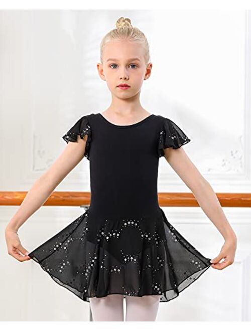 DIPUG Girls Ballet Leotard Toddler Hollow Back Shiny Skirt Ruffle Sleeve Ballerina Dance Dress