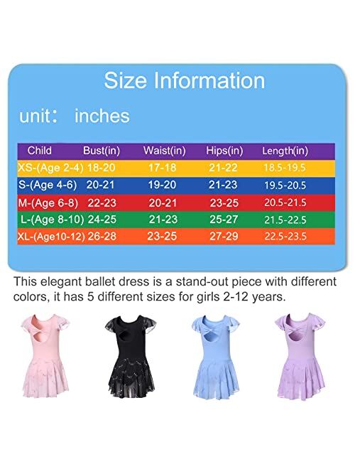 DIPUG Girls Ballet Leotard Toddler Hollow Back Shiny Skirt Ruffle Sleeve Ballerina Dance Dress