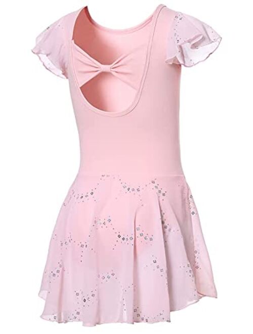 DIPUG Girls Ballet Leotard Toddler Hollow Back Shiny Skirt Ruffle Sleeve Ballerina Dance Dress