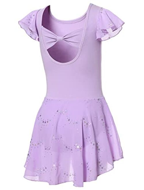 DIPUG Girls Ballet Leotard Toddler Hollow Back Shiny Skirt Ruffle Sleeve Ballerina Dance Dress