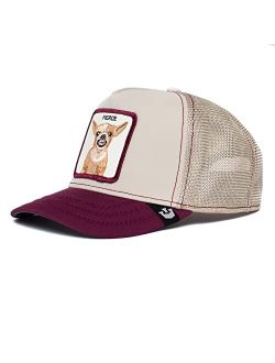 The Farm Updog Capsule Trucker Hat