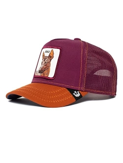 The Farm Updog Capsule Trucker Hat