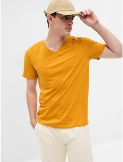 Standard V-Neck T-Shirt