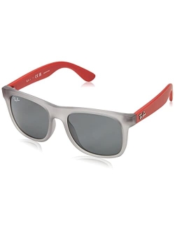 Rj9069s Justin Square Sunglasses