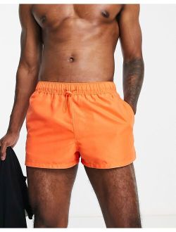 swim shorts in super short length in orange