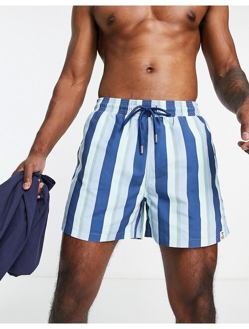 Hunky Trunks swim shorts in tonal blue stripe