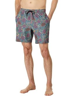 Martin Ander 17" Elastic Shorts