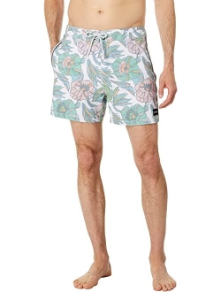 Phantom Naturals Sessions 16" Boardshorts