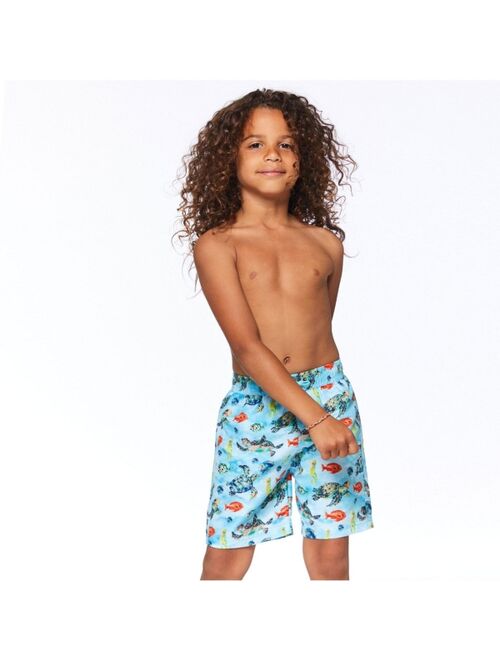 Deux par Deux Boy Printed Board short Blue Turtles - Toddler|Child