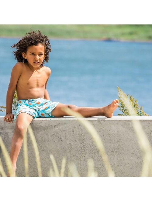 Deux par Deux Boy Printed Board short Blue Turtles - Toddler|Child