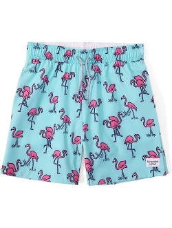 abercrombie kids Swim Trunks (Little Kids/Big Kids)