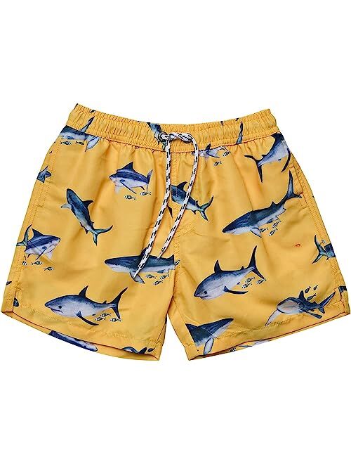 Snapper Rock Sunrise Shark Volley Boardshorts (Toddler/Little Kids/Big Kids)