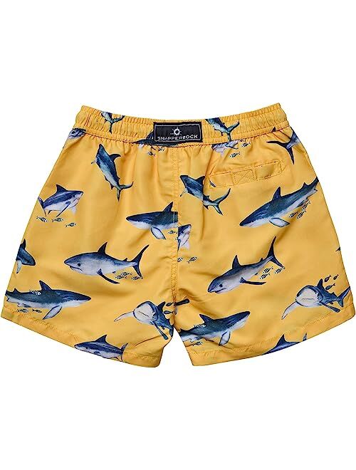 Snapper Rock Sunrise Shark Volley Boardshorts (Toddler/Little Kids/Big Kids)