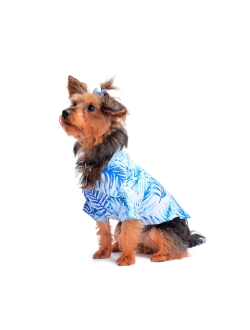 Hawaii Hangover Matchable Family Hawaiian Luau Men Women Girl Boy Clothes in Simply Blue Leaves