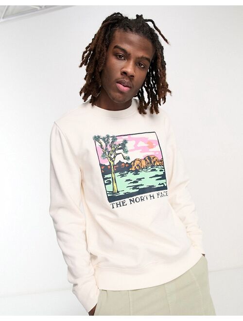 The North Face Graphic Injection chest print sweatshirt in white